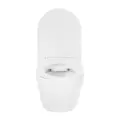 MISKA-WC-WISZACA-303-BIALA-BEZKOLNIERZOWA-RIMLESS-DESKA-ZESTAW.jpg