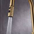 BATERIA-TARU-PRO-BRUSHED-GOLD-Typ-montazu-stojaca.jpg